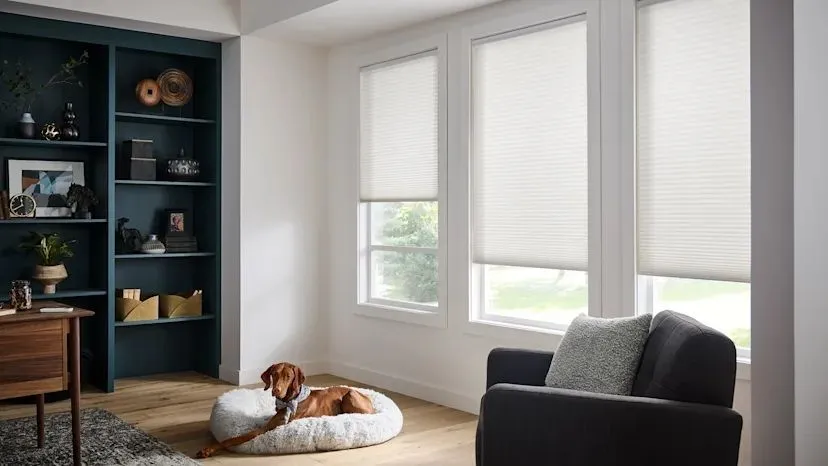 Alta Honeycomb Shades Dog Office Fashioninteriors 2025