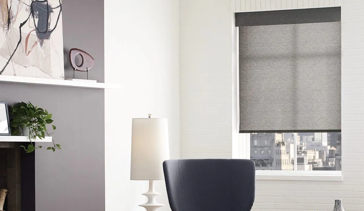 Alta Roller Shades Living Room Dark Fashioninteriors