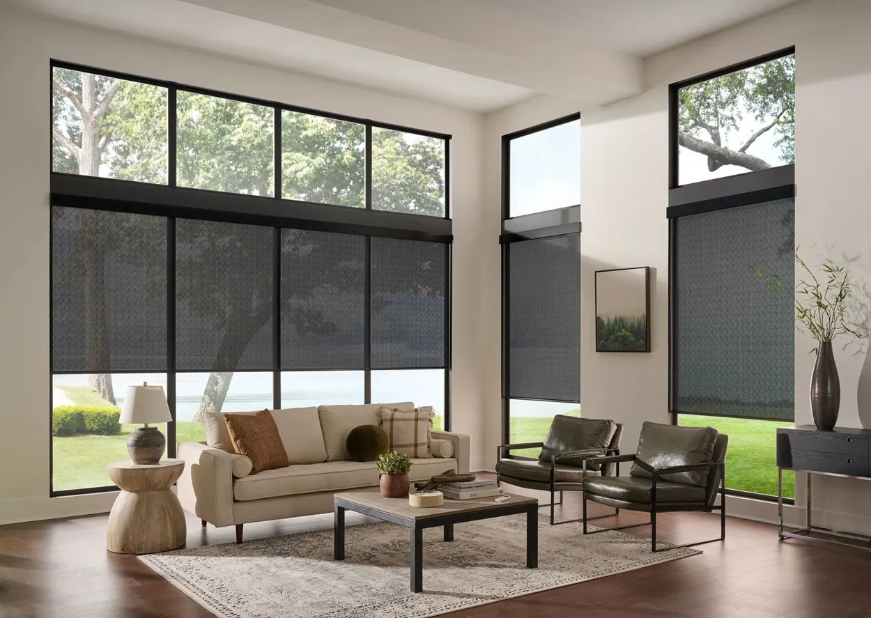 Alta Roller Shades Livingroom Modern Fashioninteriors