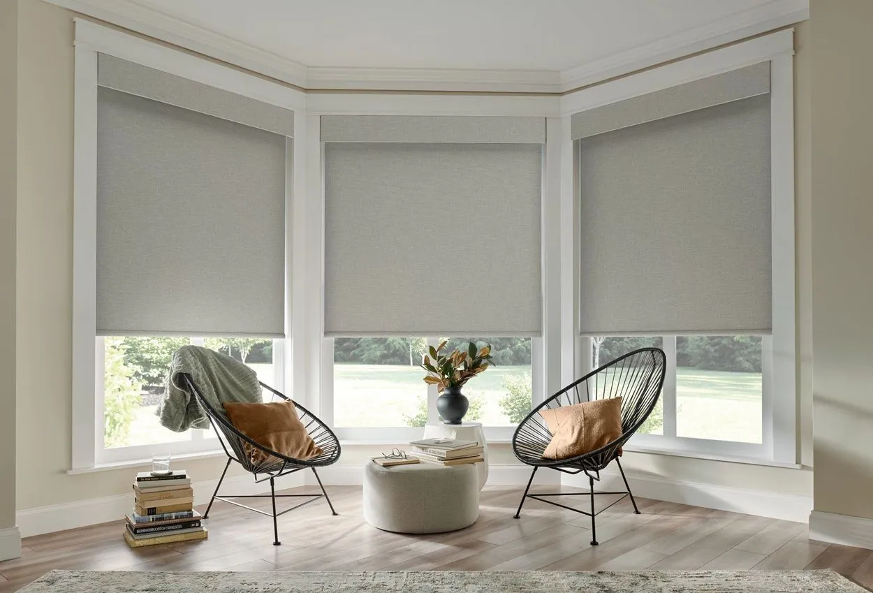Alta Roller Shades Livingroom Modern Gray Fashioninteriors