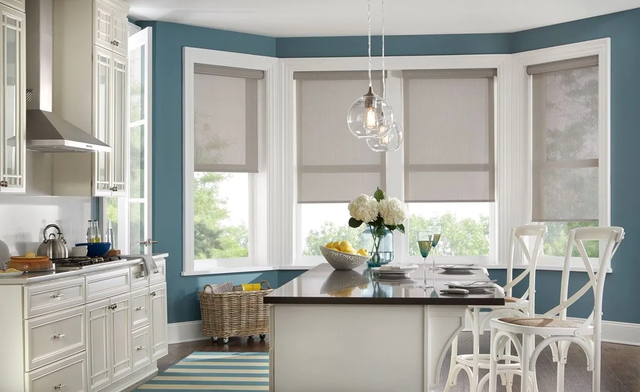 Alta Window Fashions Roller Shades Kitchen Fashioninteriors 2025