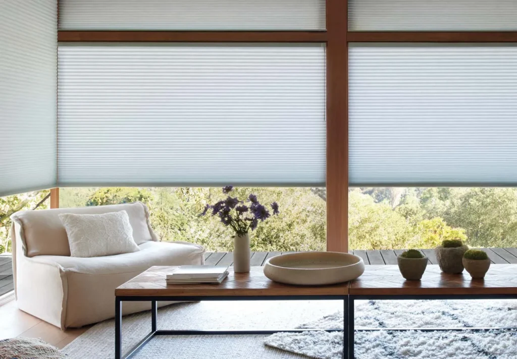 duette honeycomb shades livingroom boho modern hd2019 2880w
