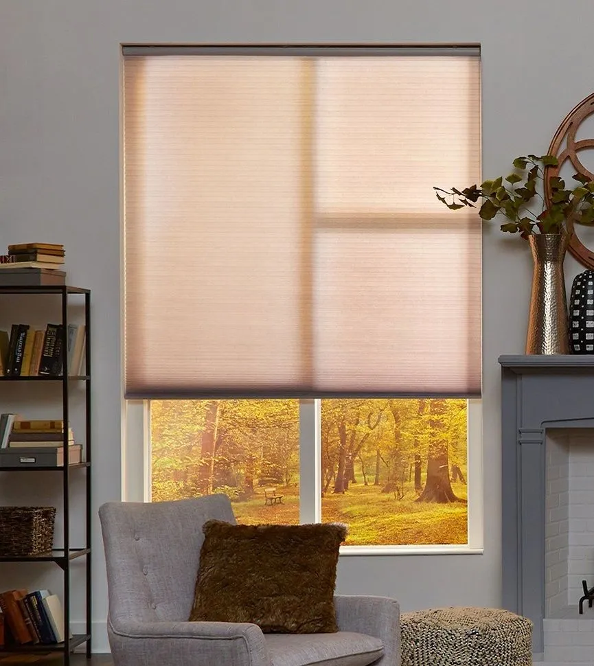lutron sivoia qs triathlon battery honeycomb shades beige livingroom small fashioninteriors 1920w