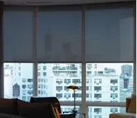 Lutron Sivoia Qs Triathlon Rollershades Translucent Fabric Fashioninteriors 2