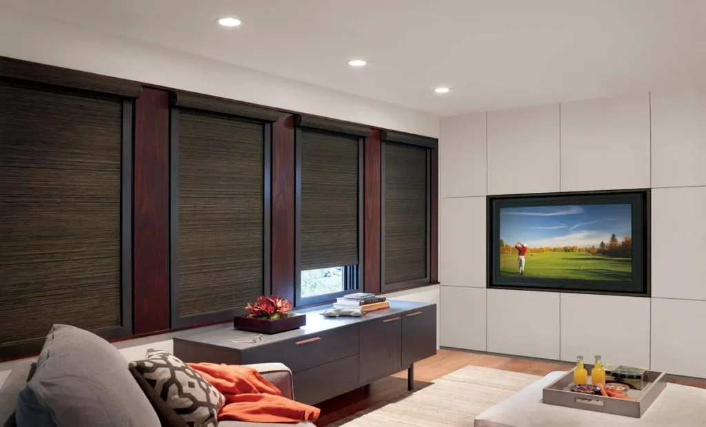 Designer Roller Shades Home Theater Mediaroom Casual Livingroom Hunterdouglas 2014