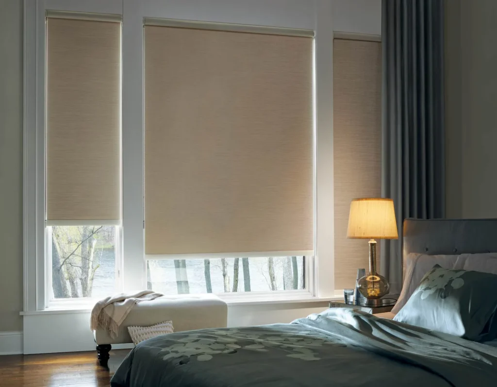 Designer Rollers Shades Bedroom Contemporary Hd 2011