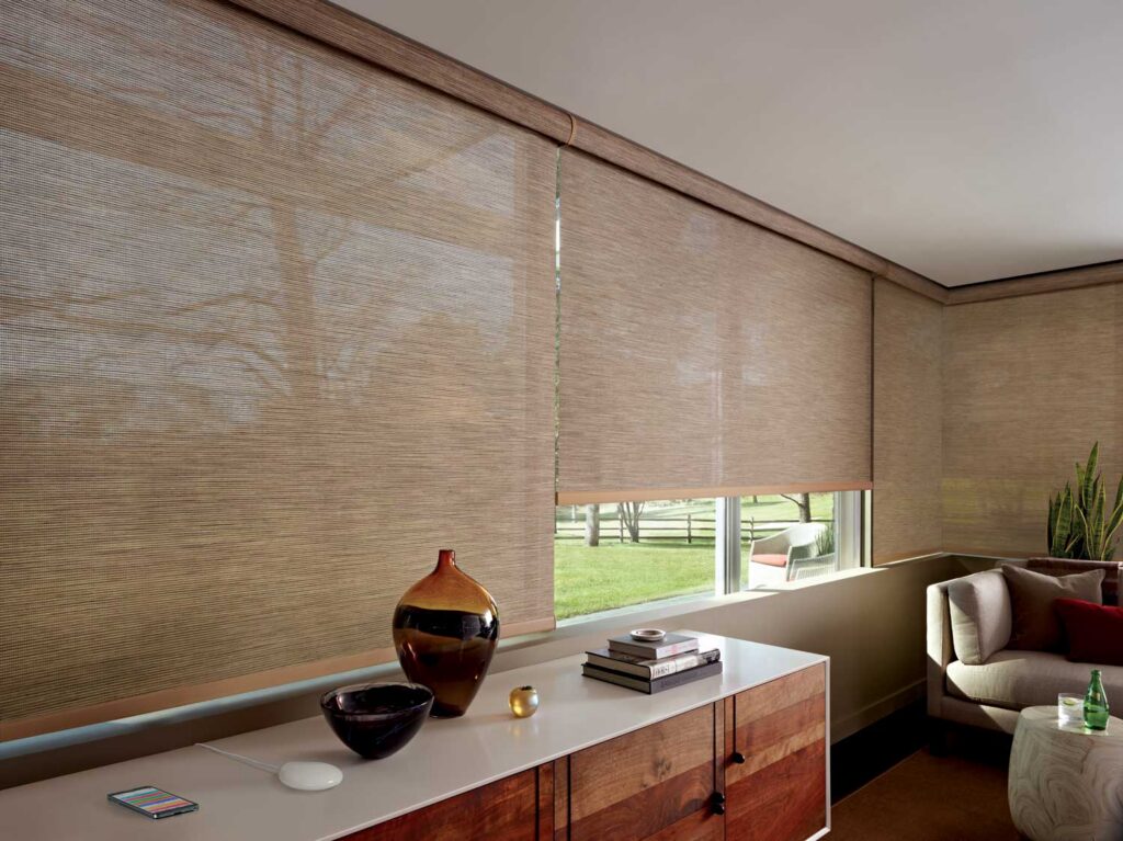 Designer Screen Shades Livingroom Midcentury Hd 2017