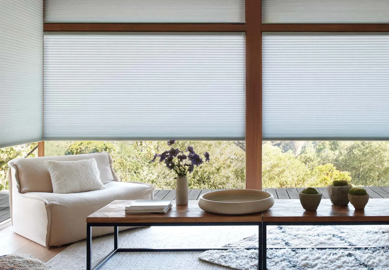 Duette Honeycomb Shades Livingroom Boho Modern Hd 2019