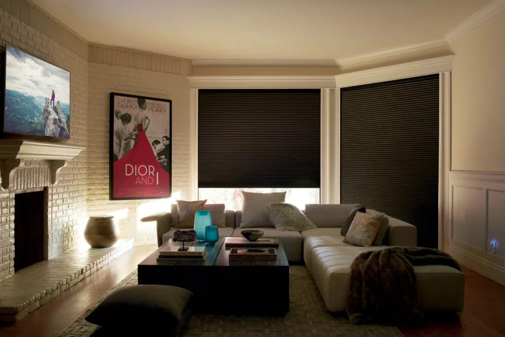 Duette Honeycomb Shades Livingroom Hd 2018