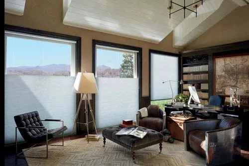duette honeycomb shades office rustic hunterdouglas fashioninteriors 2016 md 1920w
