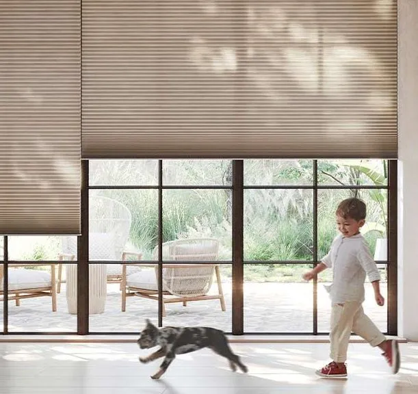 Hunterdouglas Cordless Applause Honeycomb Window Shades Skyline Kid Dog Safe Fashioninteriors