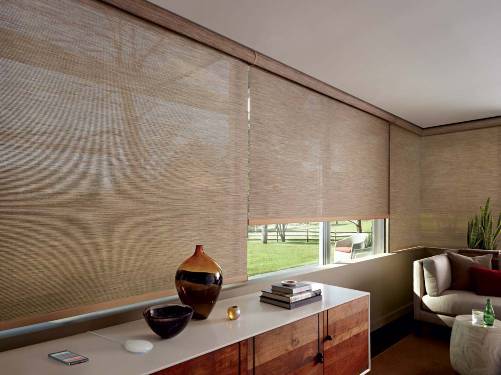 Hunterdouglas Designer Rollerscreenshades Livingroom Modern 2020