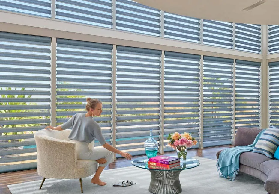 Hunterdouglas Pirouette Clearview Horizontalsheershade Model Contemporary Livingroom 2020