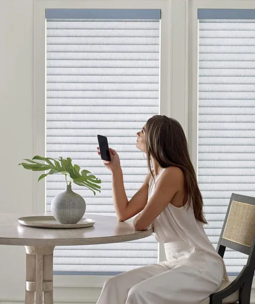 Hunterdouglas Sonnette Cellular Shades Motorized Model Remote Modern Fashioninteriors 2022