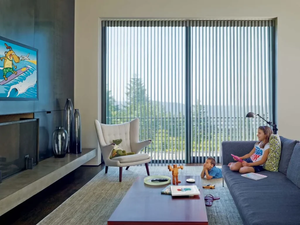 Luminette Privacy Sheers Home Theater Mediaroom Casual Livingroom Model Hunterdouglas 2015