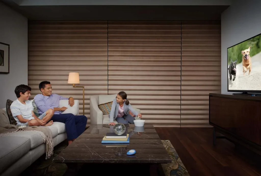 Pirouette Shades Home Theater Mediaroom Casual Livingroom Model Hunterdouglas 2016