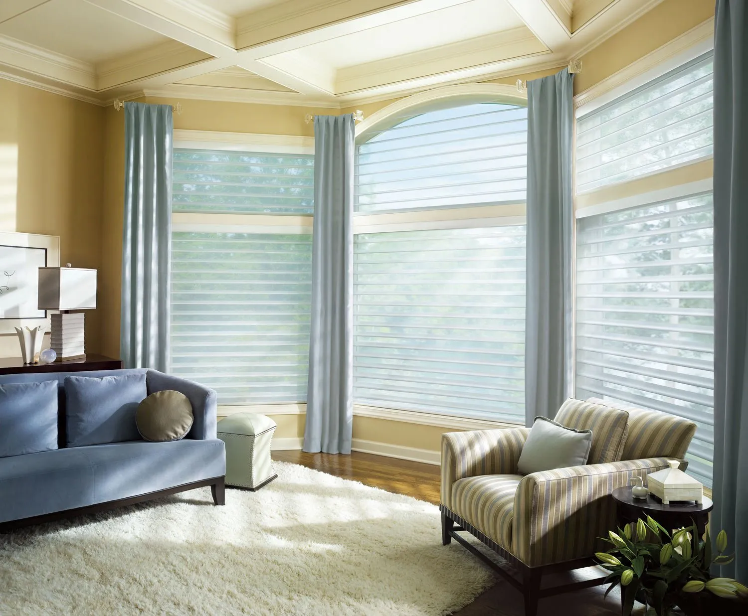 Silhouette Shades Specialty Livingroom Hd 2008