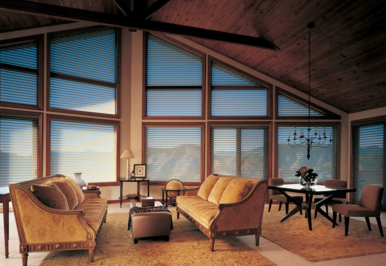 Silhouette Shades Trapezoid Livingroom Hd 2002