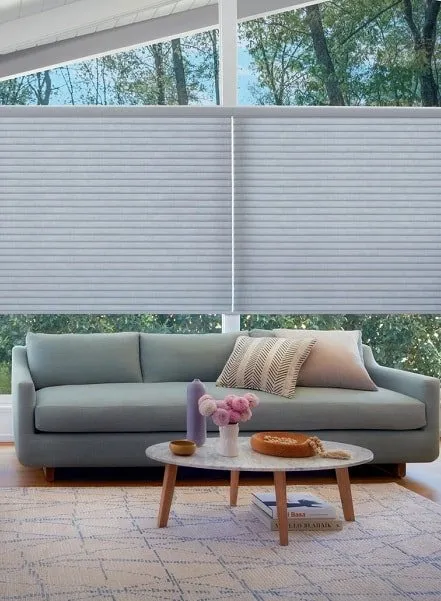 Sonnette Cellular Roller Shades Livingroom Modern Hunterdouglas Fashioninteriors 2019 Sm