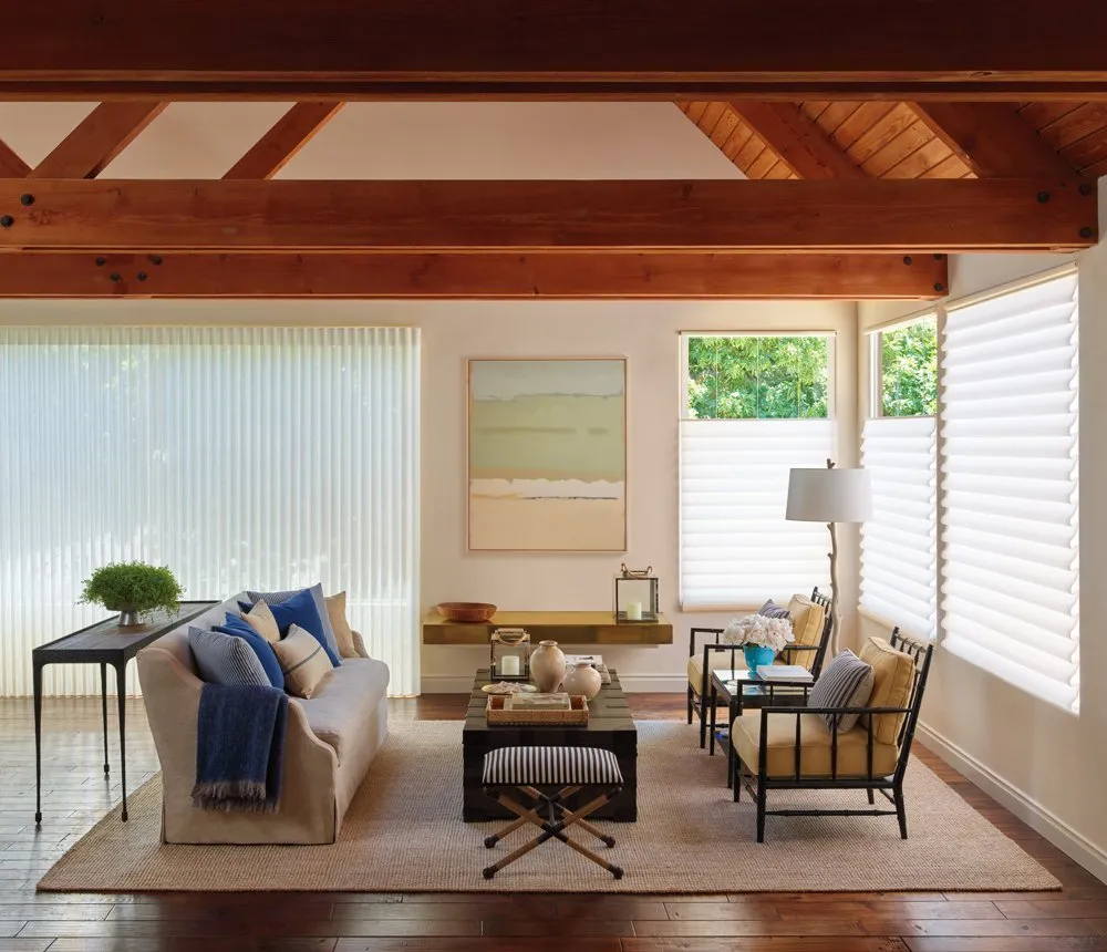 Vignette Modern Roman Shades Living Room Hunter Douglas 2018