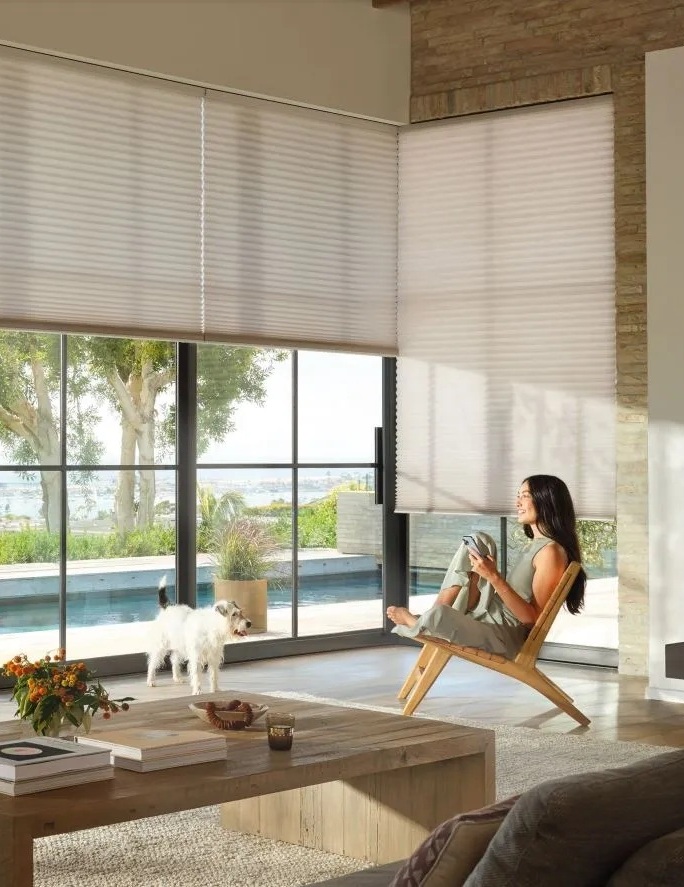 Hunter Douglas Honeycomb Shades